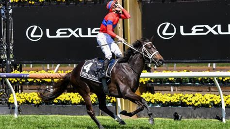 melbourne cup 2021 payouts|Melbourne Cup 2024 Prize Money, Purse & Trophy .